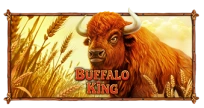 Buffalo King
